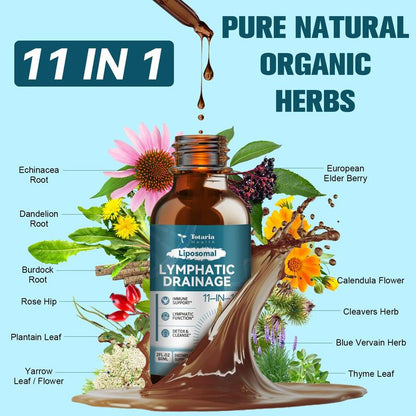Liposomal Lymphatic Drainage Drops - 11 In 1 Organic Supplement